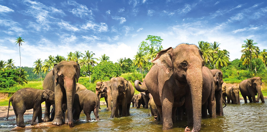 Šrilankas noslēpumi