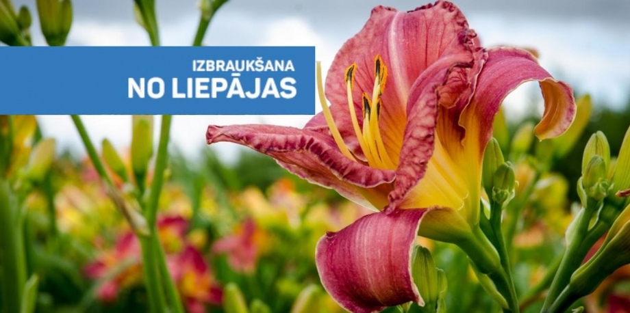 Sestdienas idille - Dižstendes muižas Bruņinieku pils, Dienliliju dārzs, mājas vīna darītavas “Vējkalnietis” vīnu degustācija, Pēdvāles mākslas parks