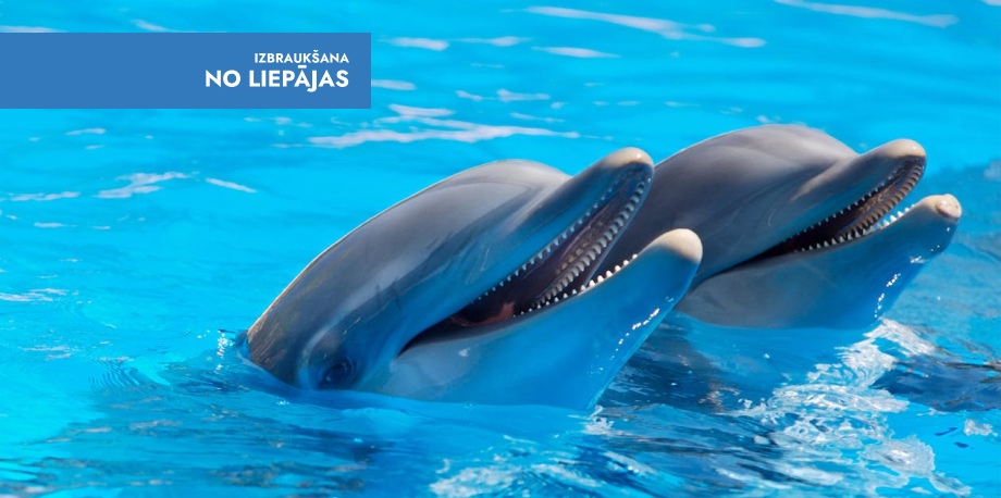 Delfīni, Jūras muzejs un miniatūru parks „Babilonas dārzi” Lietuvā