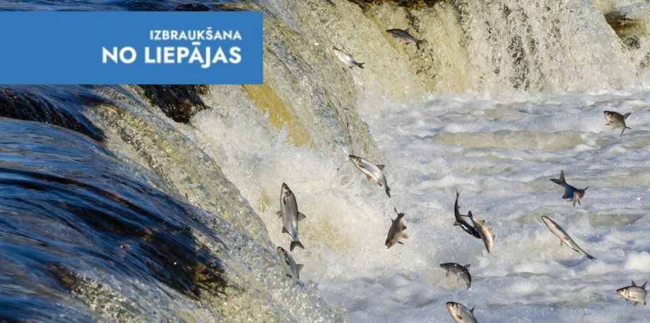 Lido zivis Kuldīgā un Pansija Pilī 