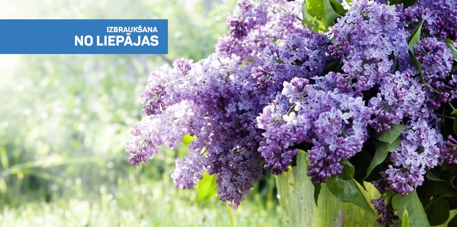 Ceriņu svētki iesmaržo vasaru Dobelē un klasiskās mūzikas koncerts