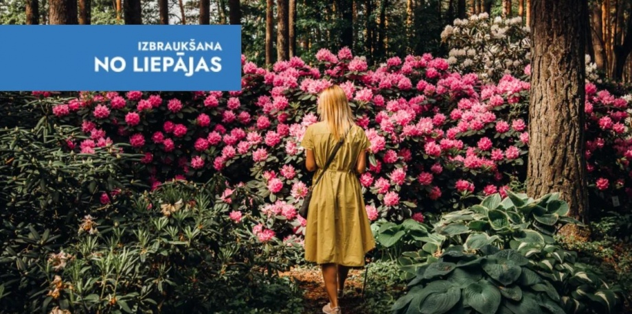 Rododendru pasaka Koku skolā un zirņi Zirņos! 