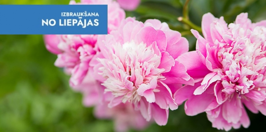 Peoniju ziedu parāde un brokastis SierŠtellē