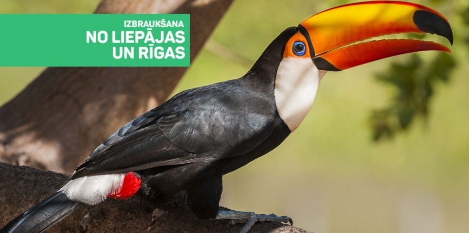 Aizraujošā Vācija skolēnu brīvlaikā!