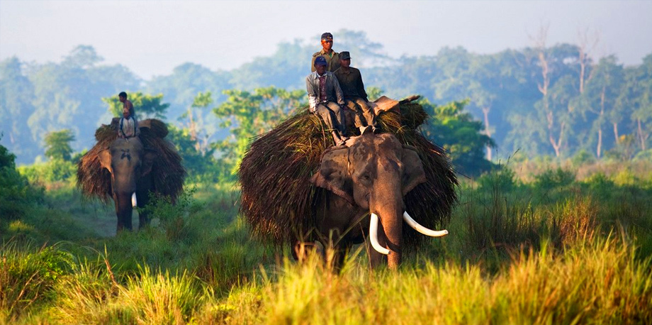 Neaizmirstamā Nepāla! Aizraujoša avio ekskursiju tūre